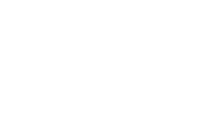 Western World Ins Co logo